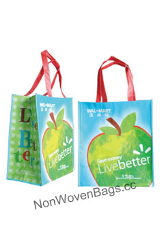 Non Woven Bags Manufacturer